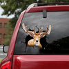 [dt0270-snf-tnt]-sika-deer-crack-car-sticker-deers-lover