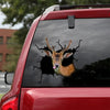 [dt0275-snf-tnt]-fallow-deer-crack-car-sticker-deers-lover