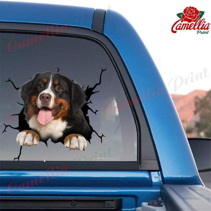 Bernese Mountain Dog Crack Decals For Windows Humor Decals Stickers Craft Kits For Adults