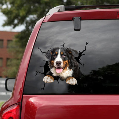 [dt0284-snf-tnt]-bernese-mountain-dog-crack-car-sticker-dogs-lover