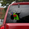[dt0295-snf-tnt]-green-naped-lorikeet-crack-car-sticker-birds-lover