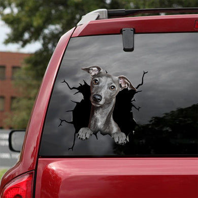 [dt0296-snf-tnt]-greyhound-crack-car-sticker-dogs-lover