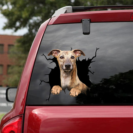[dt0297-snf-tnt]-greyhound-crack-car-sticker-dogs-lover