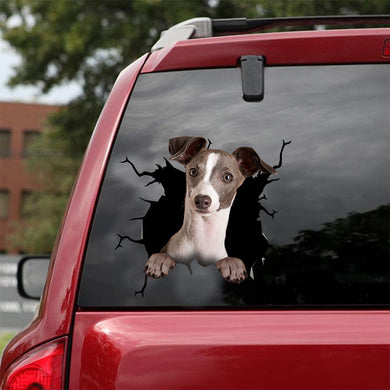 [dt0298-snf-tnt]-greyhound-crack-car-sticker-dogs-lover