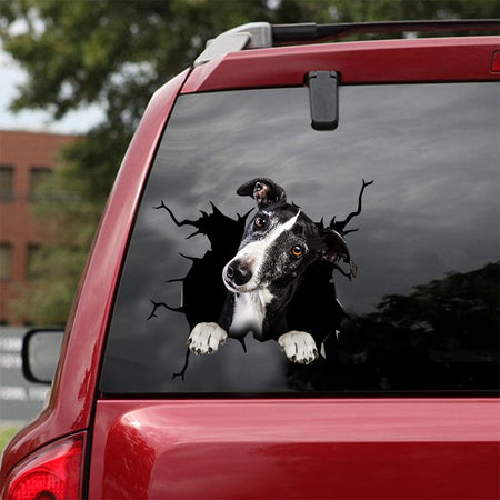 [dt0299-snf-tnt]-greyhound-crack-car-sticker-dogs-lover