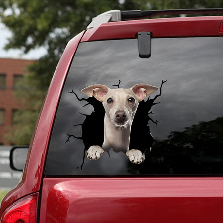 [dt0300-snf-tnt]-greyhound-crack-car-sticker-dogs-lover