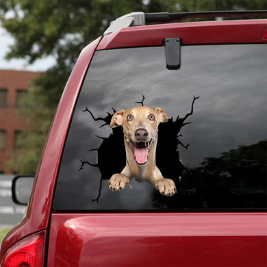[dt0301-snf-tnt]-greyhound-crack-car-sticker-dogs-lover