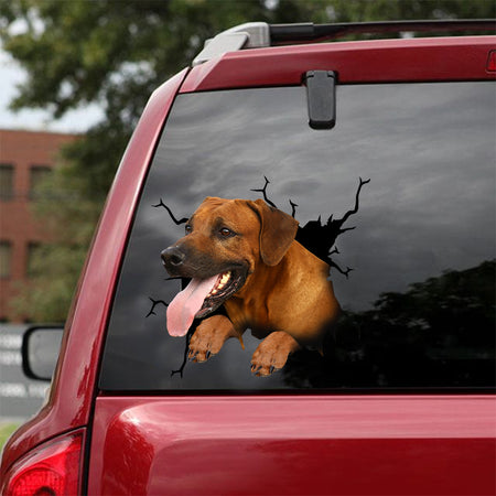[dt0303-snf-tnt]-rhodesian-ridgeback-crack-car-sticker-dogs-lover