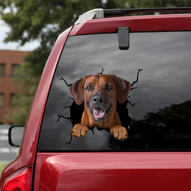 [dt0304-snf-tnt]-rhodesian-ridgeback-crack-car-sticker-dogs-lover