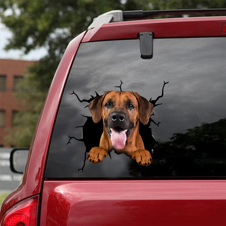 [dt0305-snf-tnt]-rhodesian-ridgeback-crack-car-sticker-dogs-lover