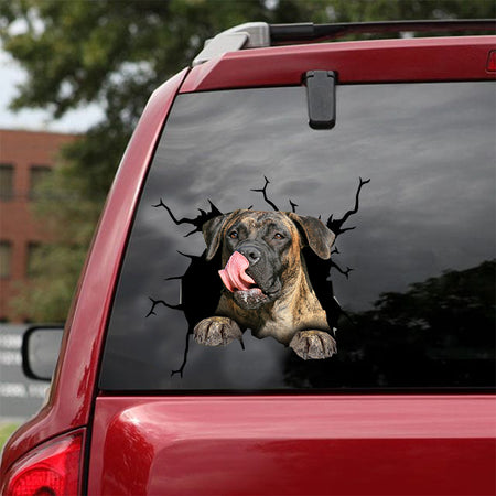 [dt0308-snf-tnt]-boerboel-crack-car-sticker-dogs-lover