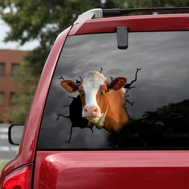 [dt0311-snf-tnt]-dairy-cattle-crack-car-sticker-cows-lover