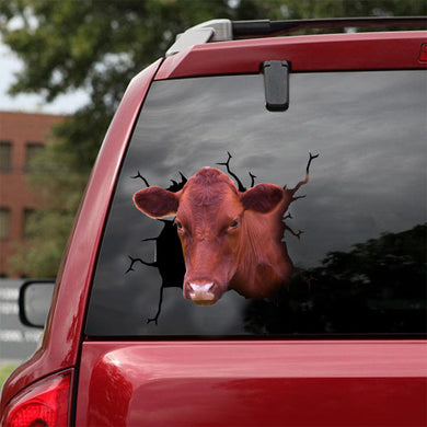 [dt0319-snf-tnt]-danish-red-cattle-crack-car-sticker-cows-lover