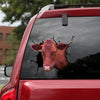 [dt0319-snf-tnt]-danish-red-cattle-crack-car-sticker-cows-lover