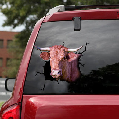 [dt0320-snf-tnt]-danish-red-cattle-crack-car-sticker-cows-lover