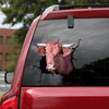 [dt0320-snf-tnt]-danish-red-cattle-crack-car-sticker-cows-lover