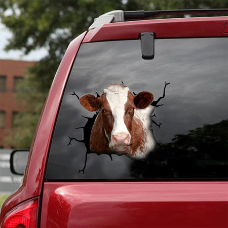 [dt0322-snf-tnt]-shorthorn-cattle-crack-car-sticker-cows-lover