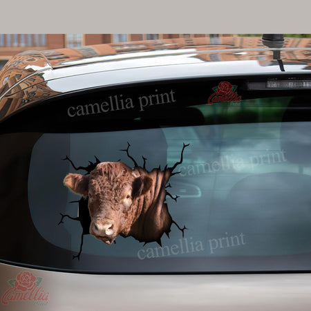 Shorthorn Cattle Crack Duck Decal Cute Vehicle Decals Gifts For Grandma