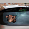 Shorthorn Cattle Crack Duck Decal Cute Vehicle Decals Gifts For Grandma