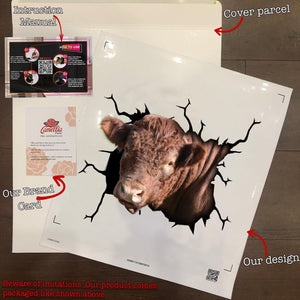 Shorthorn Cattle Crack Duck Decal Cute Vehicle Decals Gifts For Grandma