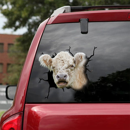 [dt0324-snf-tnt]-shorthorn-cattle-crack-car-sticker-cows-lover