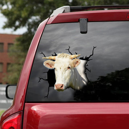 [dt0332-snf-tnt]-charolais-cattle-crack-car-sticker-cows-lover