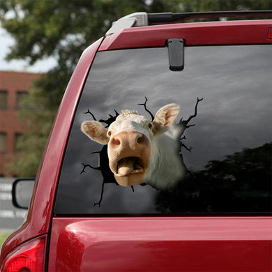 [dt0333-snf-tnt]-charolais-cattle-crack-car-sticker-cows-lover