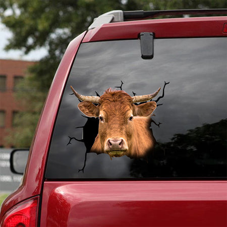 [dt0335-snf-tnt]-ternera-gallega-cattle-crack-car-sticker-cows-lover