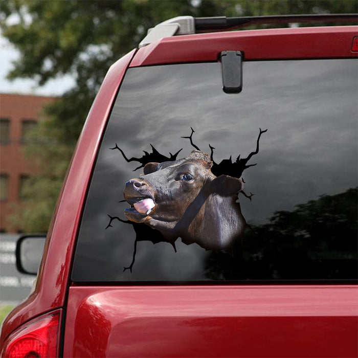 [dt0339-snf-tnt]-angus-cattle-crack-car-sticker-cows-lover