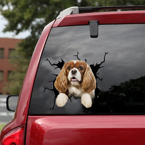 [dt0345-snf-tnt]-cavalier-king-charles-spaniel-crack-car-sticker-dogs-lover