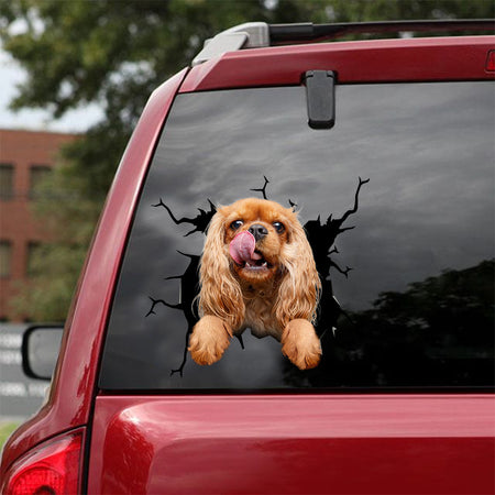 [dt0348-snf-tnt]-cavalier-king-charles-spaniel-crack-car-sticker-dogs-lover