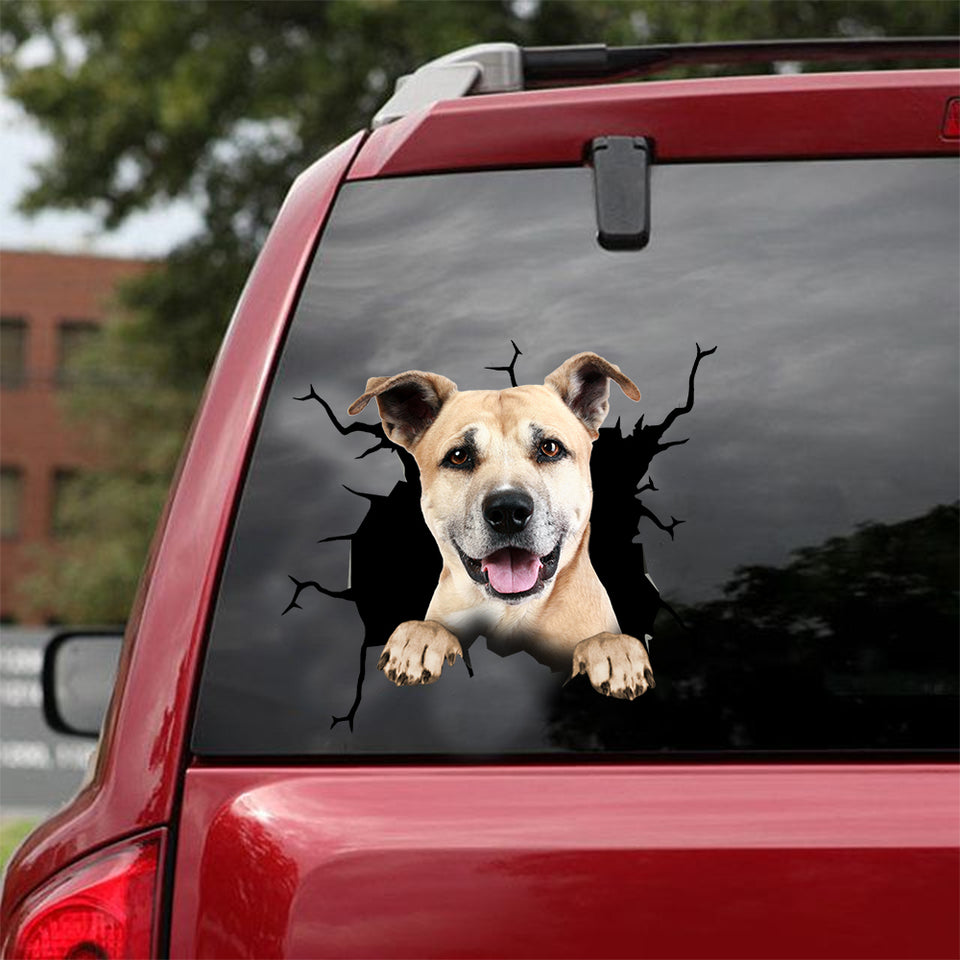 [dt0350-snf-tnt]-american-staffordshire-terrier-crack-car-sticker-dogs-lover