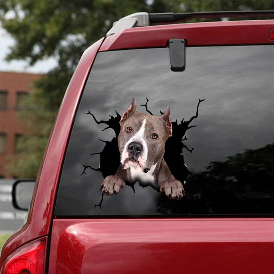 [dt0352-snf-tnt]-american-staffordshire-terrier-crack-car-sticker-dogs-lover