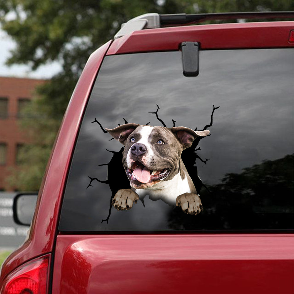 [dt0353-snf-tnt]-american-staffordshire-terrier-crack-car-sticker-dogs-lover