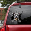 [dt0355-snf-tnt]-american-staffordshire-terrier-crack-car-sticker-dogs-lover