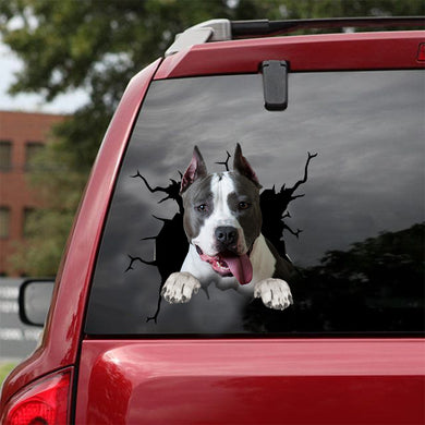[dt0356-snf-tnt]-american-staffordshire-terrier-crack-car-sticker-dogs-lover