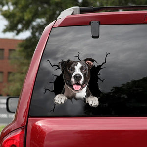 [dt0357-snf-tnt]-american-staffordshire-terrier-crack-car-sticker-dogs-lover