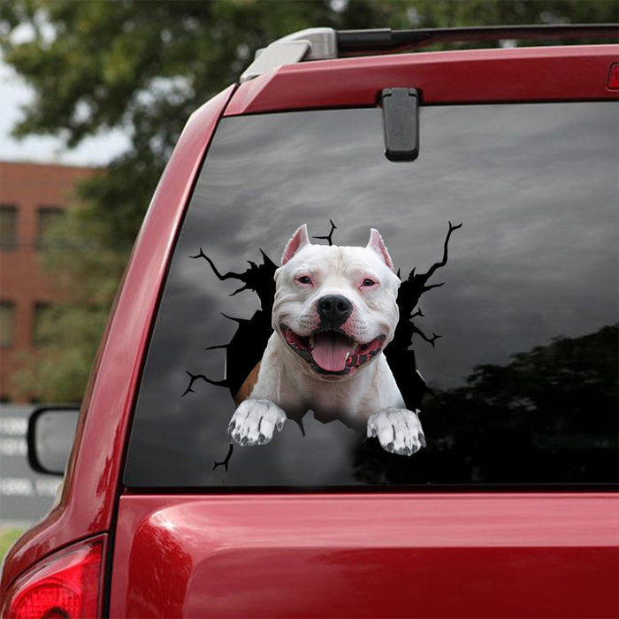 [dt0359-snf-tnt]-american-staffordshire-terrier-crack-car-sticker-dogs-lover