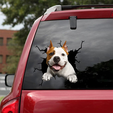[dt0360-snf-tnt]-american-staffordshire-terrier-crack-car-sticker-dogs-lover