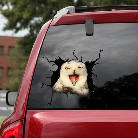 [dt0361-snf-tnt]-owl-crack-car-sticker-birds-lover