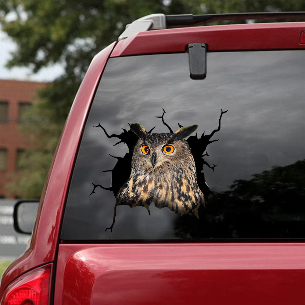 [dt0362-snf-tnt]-owl-crack-car-sticker-birds-lover