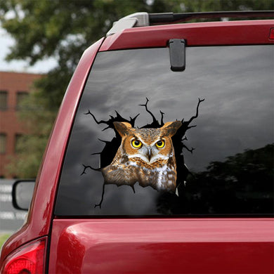 [dt0363-snf-tnt]-owl-crack-car-sticker-birds-lover
