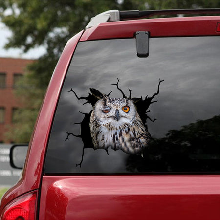 [dt0364-snf-tnt]-owl-crack-car-sticker-birds-lover