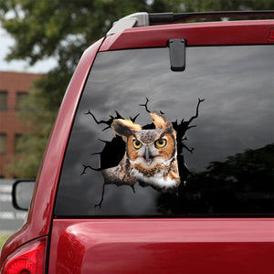 [dt0365-snf-tnt]-owl-crack-car-sticker-birds-lover