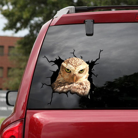 [dt0366-snf-tnt]-owl-crack-car-sticker-birds-lover
