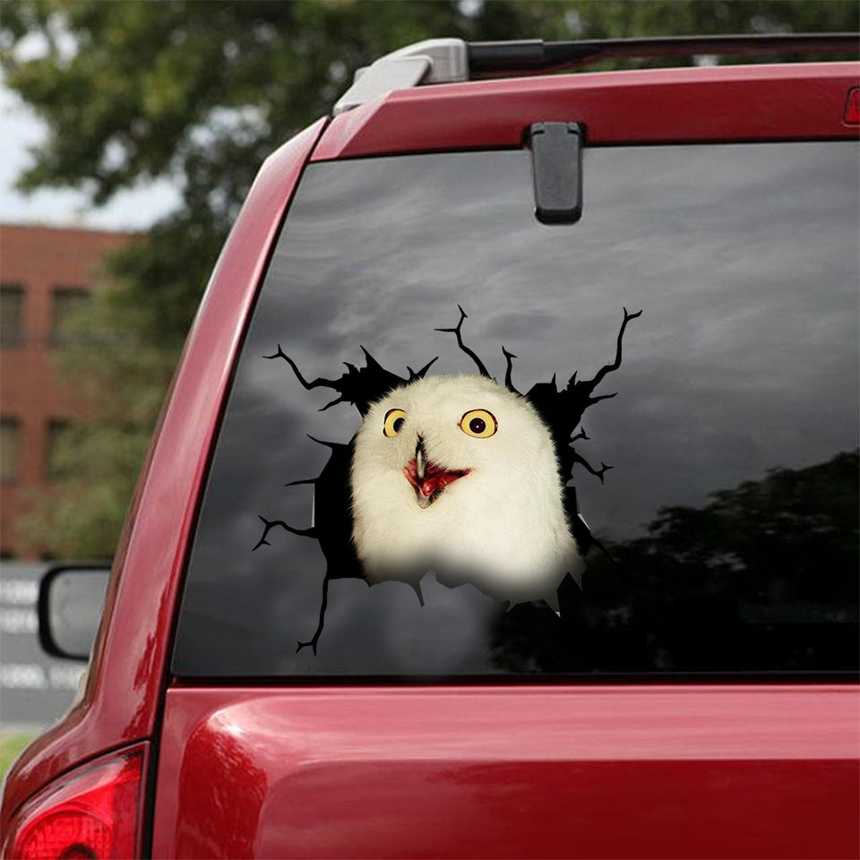 [dt0367-snf-tnt]-owl-crack-car-sticker-birds-lover