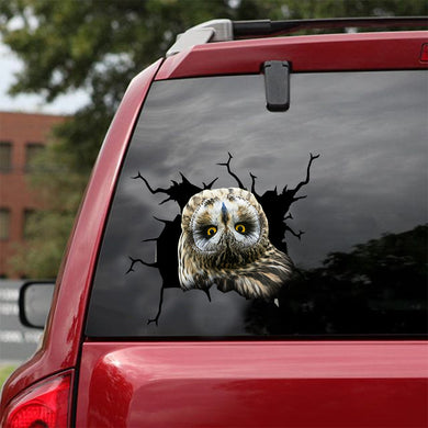 [dt0369-snf-tnt]-owl-crack-car-sticker-birds-lover