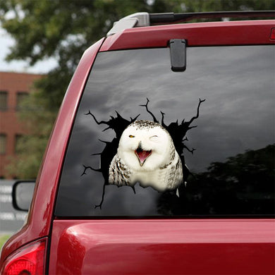 [dt0370-snf-tnt]-owl-crack-car-sticker-birds-lover