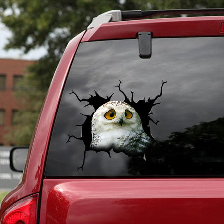 [dt0371-snf-tnt]-owl-crack-car-sticker-birds-lover