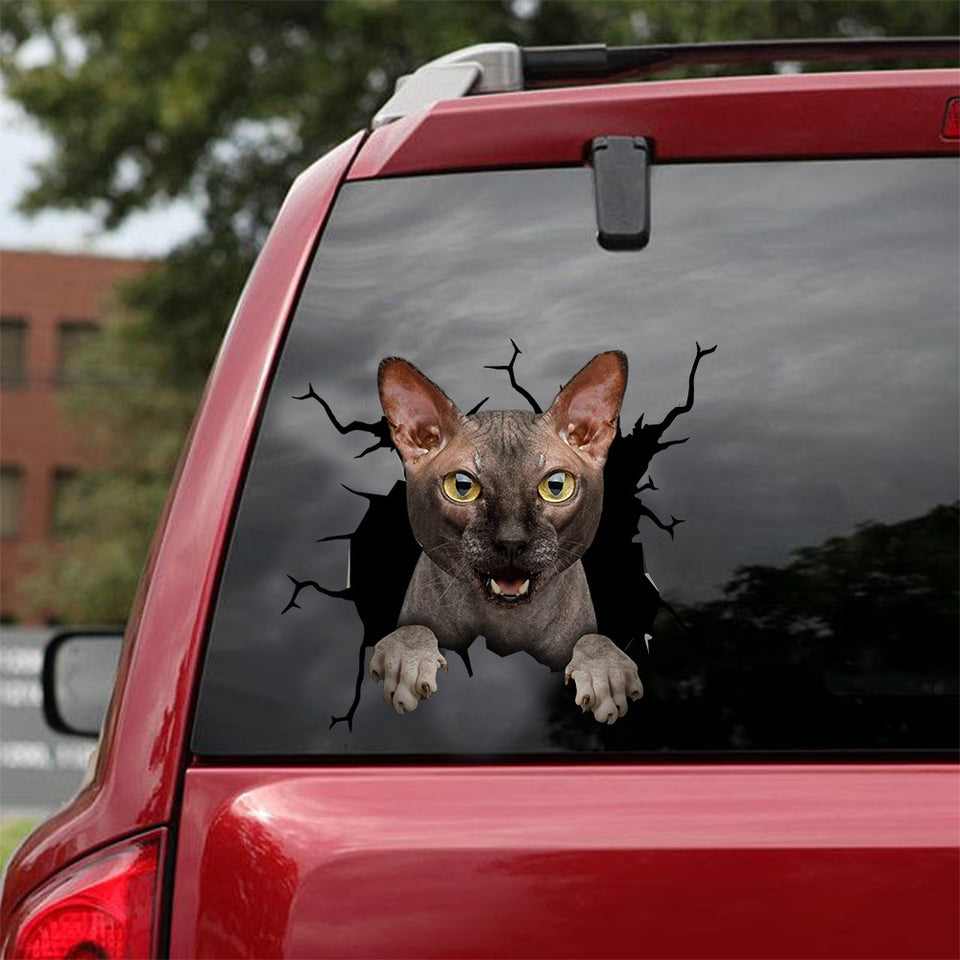 [dt0382-snf-tnt]-sphynx-cat-crack-car-sticker-cats-lover